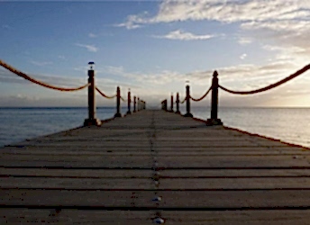 Foto Galeri